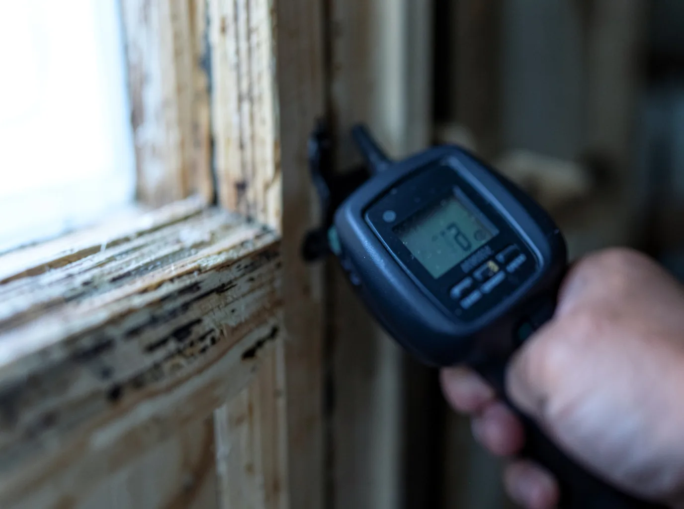 Moisture Inspection And Documentation in Indian Head, MD